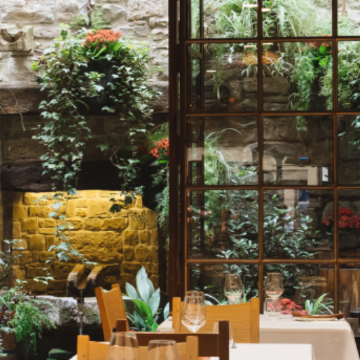 Interior ajardinado de Bar Katuzarra de pamplona