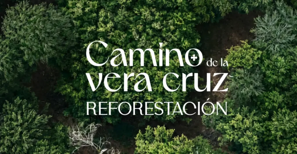 La Asociación Navarra de Municipios del Camino de la Vera Cruz impulsa un proyecto piloto de reforestación participativa este otoño